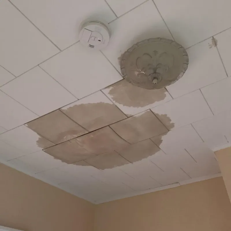 Ceiling Water Damage Repair in Appomattox County, VA
