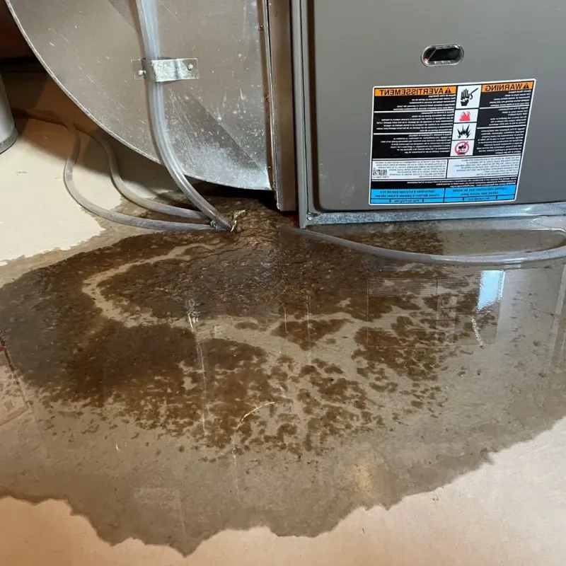 Pipe Burst and Leak Restoration in Appomattox County, VA