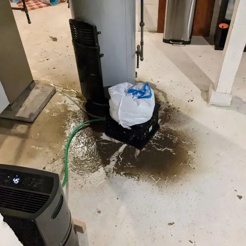 Sewage Backup Cleanup Service in Appomattox County, VA